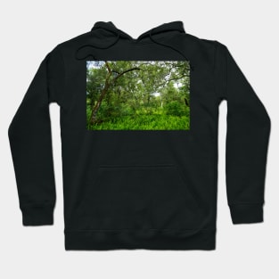 Florida Ferns Hoodie